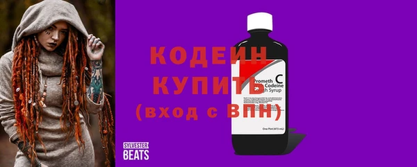 хмурый Алексин