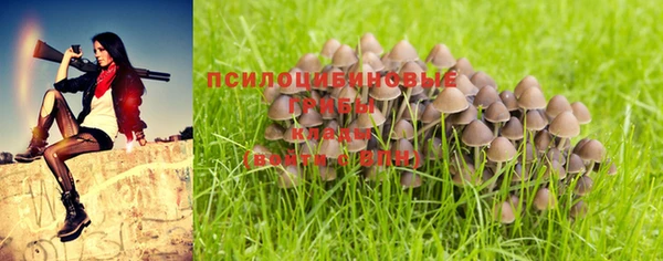 мескалин Армянск