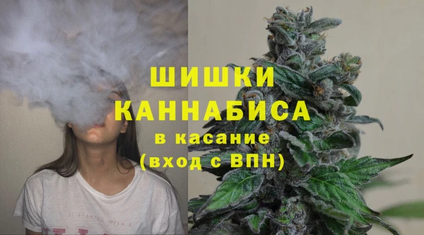 трава Покачи